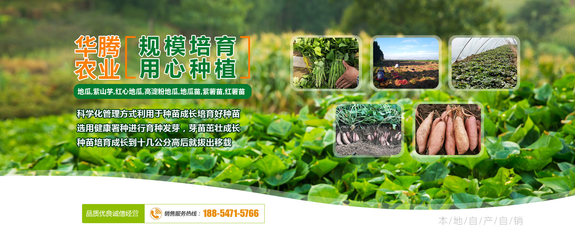 濟(jì)寧力頓液壓有限公司